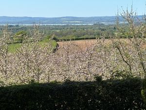 VENDORS VIEW BLOSSOM- click for photo gallery